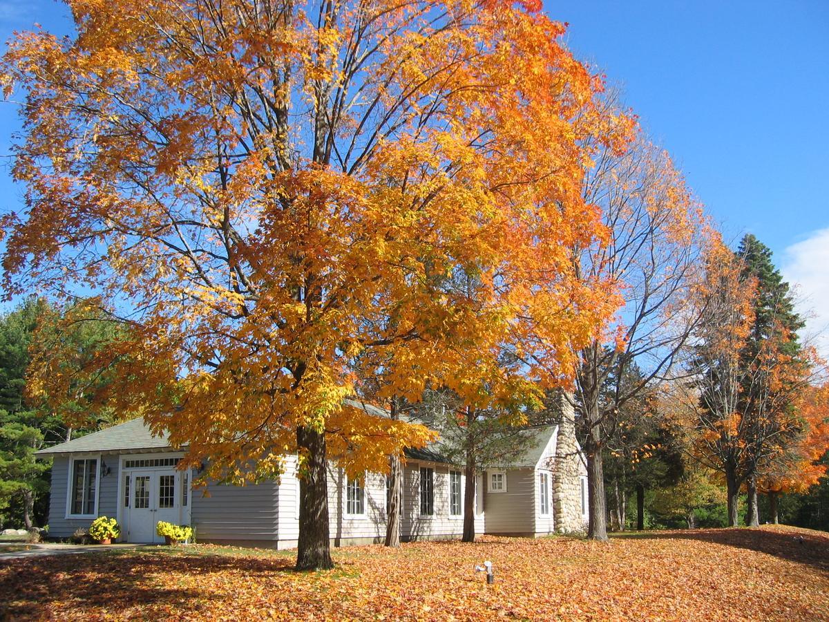 Tuxbury Pond Camping Resort Tiny House Clara South Hampton Exterior foto